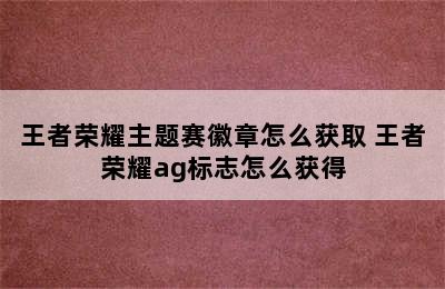 王者荣耀主题赛徽章怎么获取 王者荣耀ag标志怎么获得